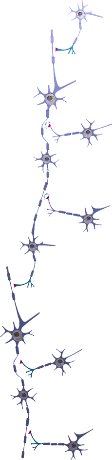 Neuronios introducao um